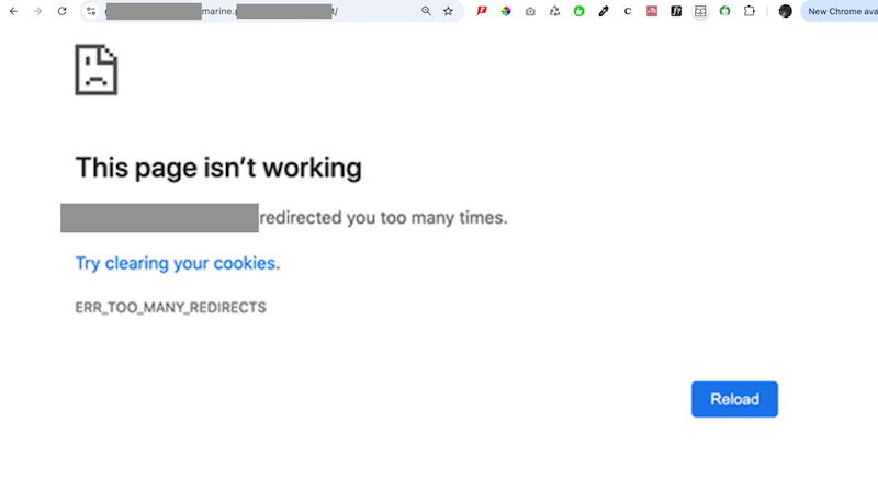 Przykład ERR_TOO_MANY_REDIRECTS — źródło: moja witryna testowa 