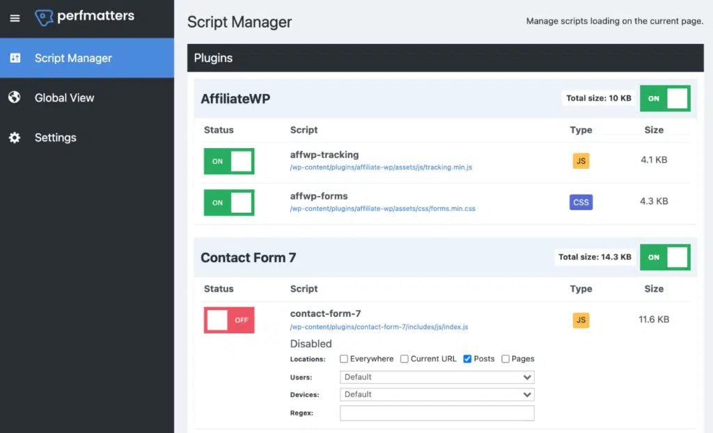 Perfmatters Script Manager zrzut ekranu