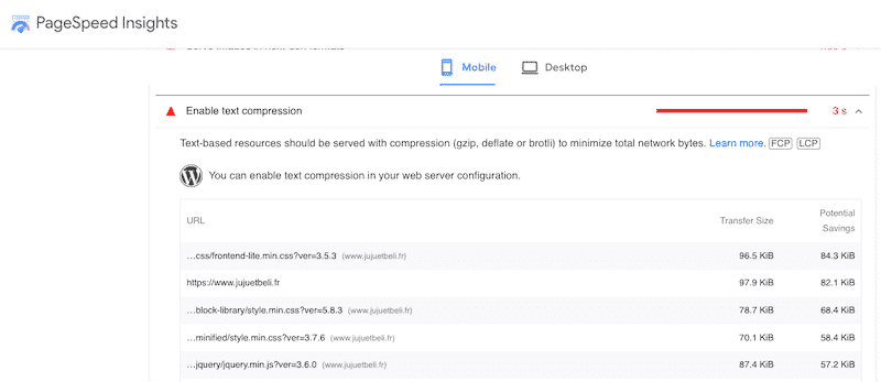 GZIP Sıkıştırmayı PagePeed Insights (Teşhis Bölümü) ile kontrol etmek- Kaynak: PagesPeed   