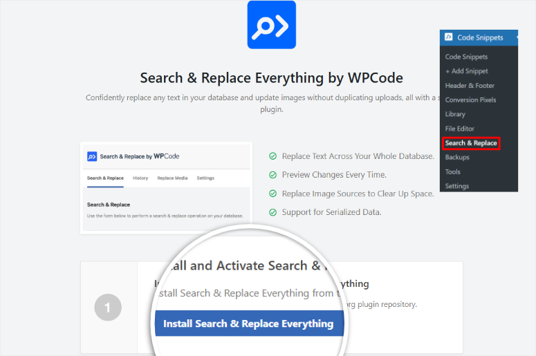 search and replace everything install free version