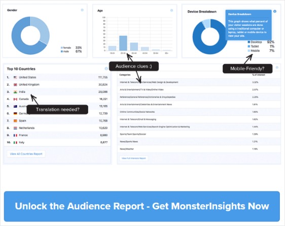 メンバーシップウェブサイト分析monsterinsights