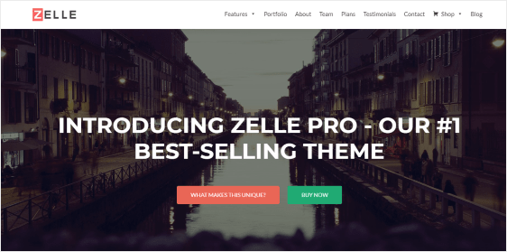 Zelle Pro einseitiges WordPress-Theme