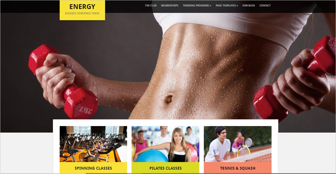 Energy Fastest WordPress Theme