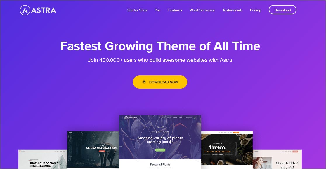 Astra Fastest WordPress Theme