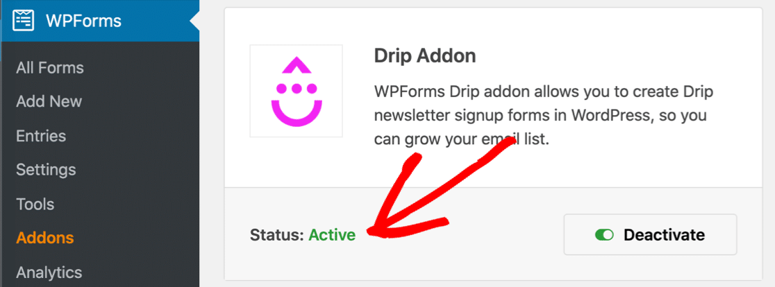 ปลั๊กอิน Drip WordPress ที่ทำงานอยู่ใน WPForms