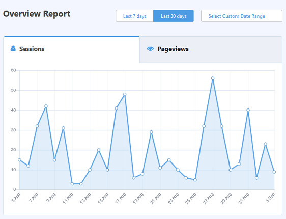 raport de prezentare generală monsterinsights pentru a urmări traficul site-ului web wordpress