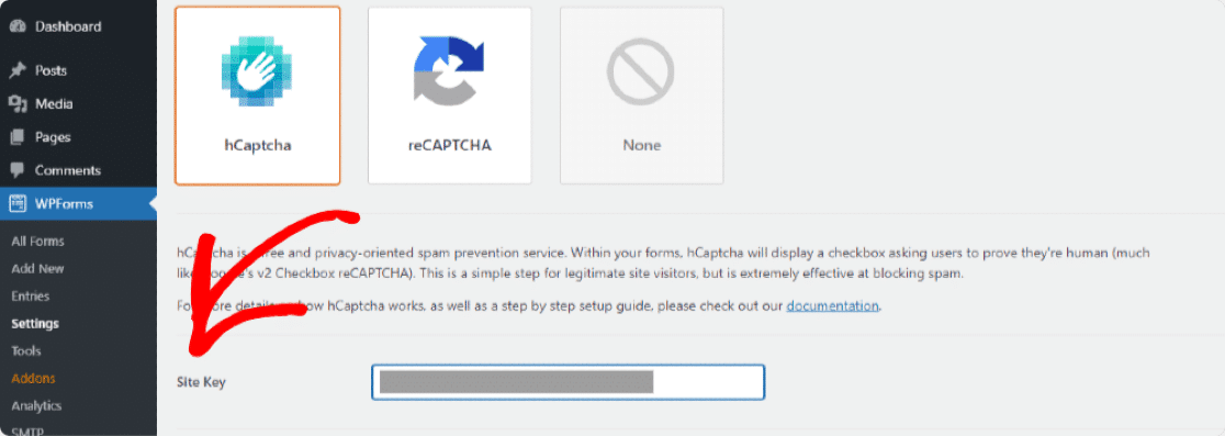 Cole a chave do site em WPForms